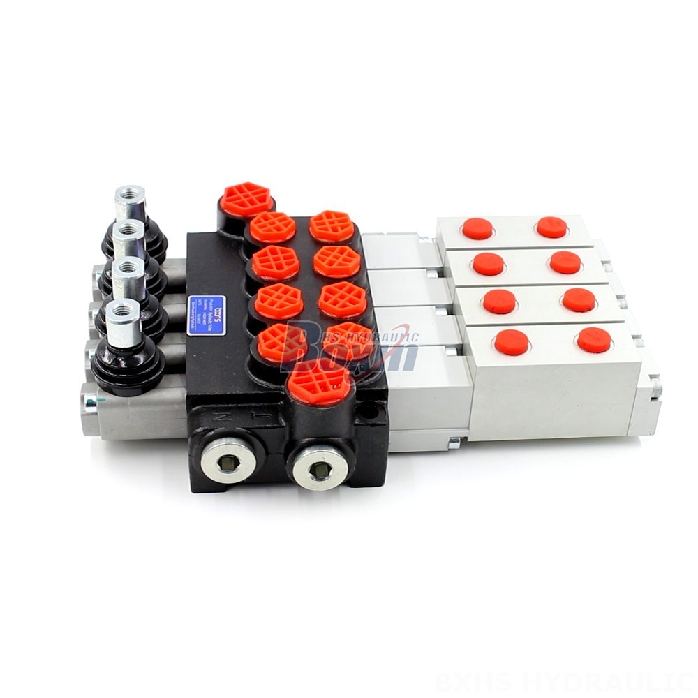 Precision Engineered: The P40 Hydraulic Valve for Unmatched Accuracy and Reliability main image